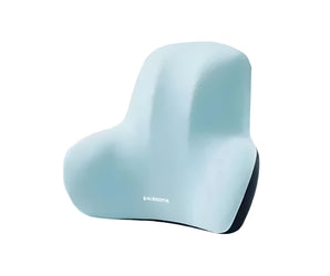 Memory Foam Lumbar Pillow